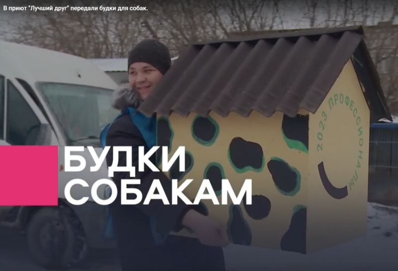 ТКПСТ ПРОФЕССИОНАЛЫ