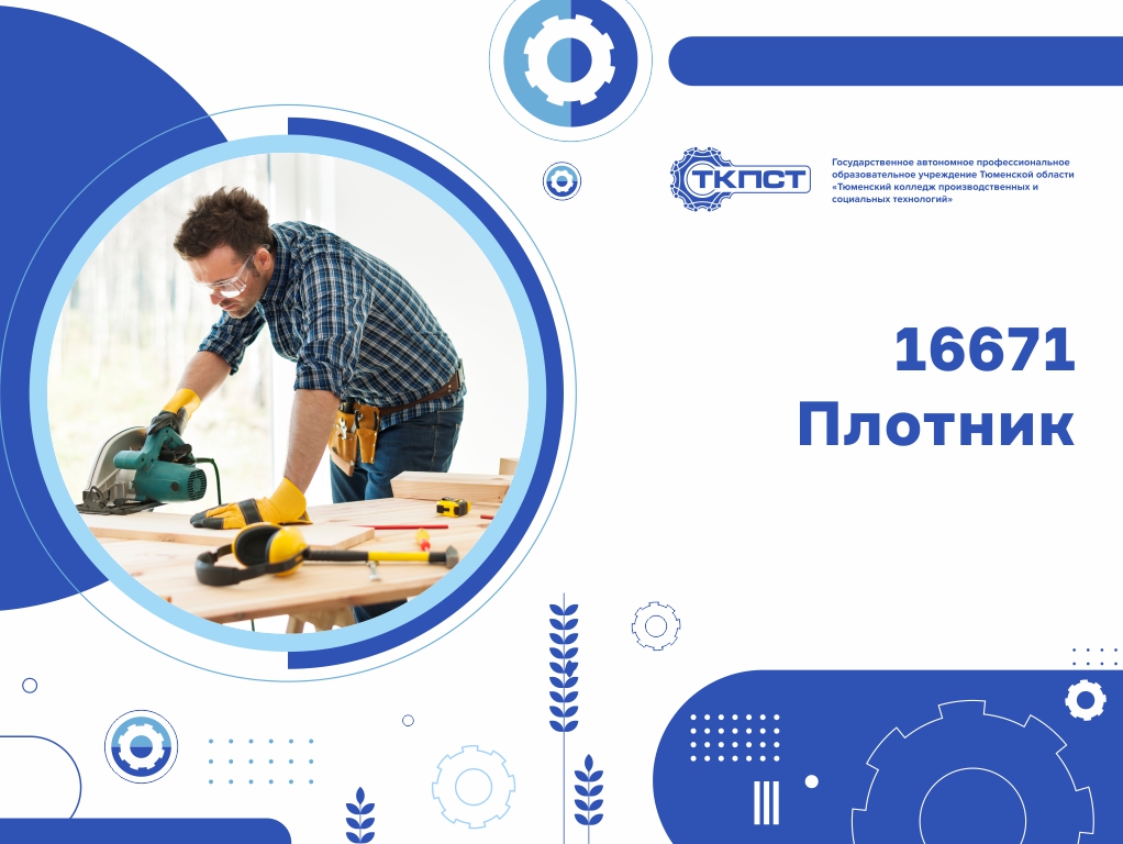 16671 Плотник