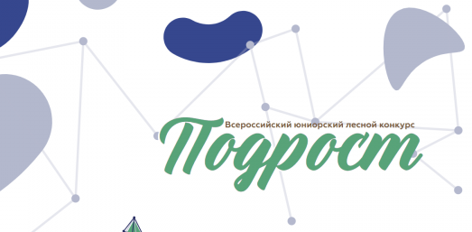 РЕЗУЛЬТАТЫ УЧАСТИЯ В КОНКУРСЕ