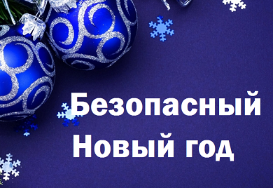 "НАША БЕЗОПАСНОСТЬ В НАШИХ РУКАХ"