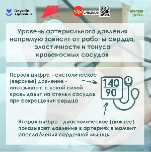 Неделя профилактики повышения артериального давления