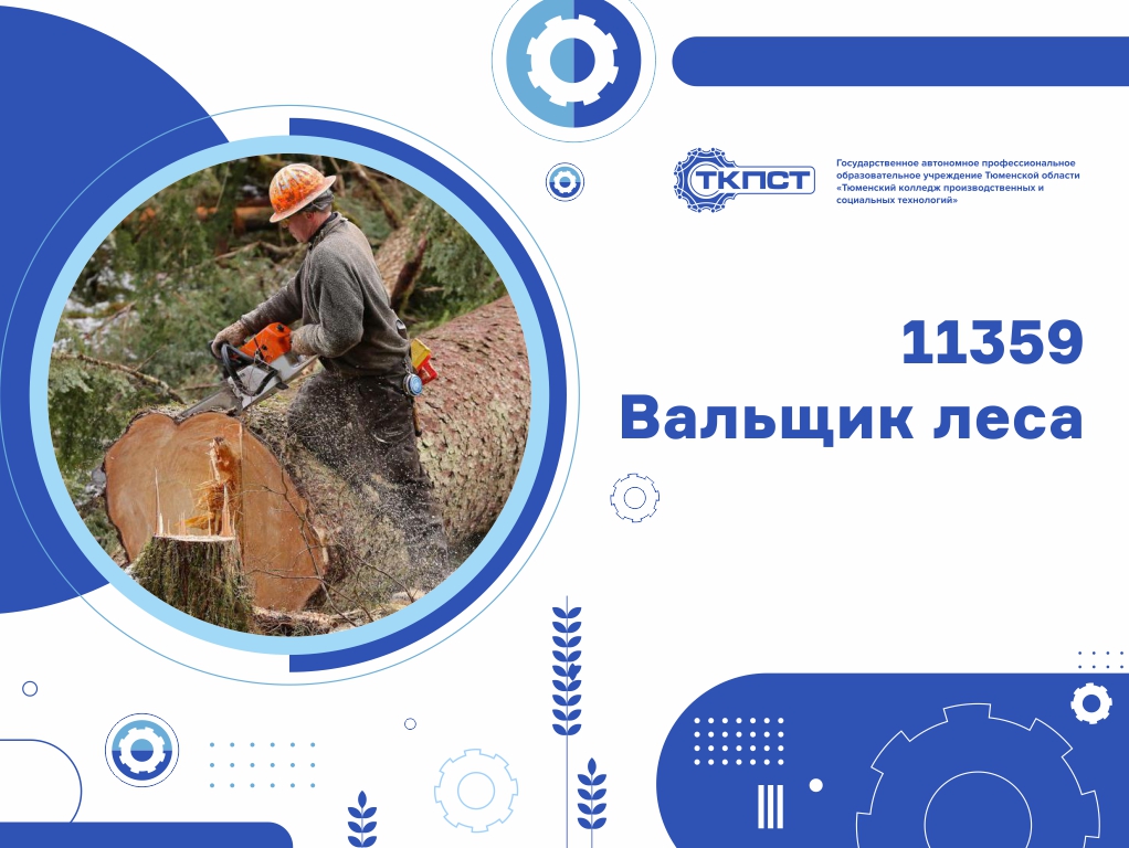 11359 Вальщик леса