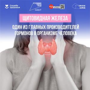 Неделя профилактики заболеваний эндокринной системы